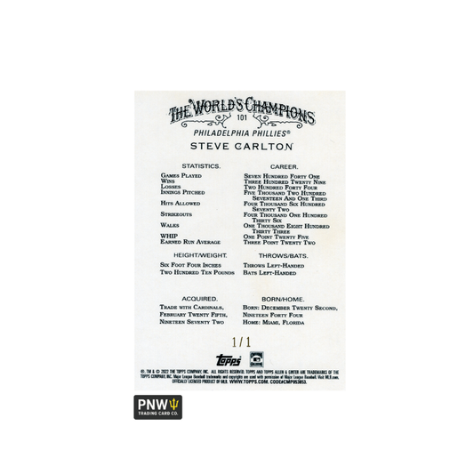 iPhrase Chosen Powerful Word Bible Verse Vintage Cotton Twill Cap