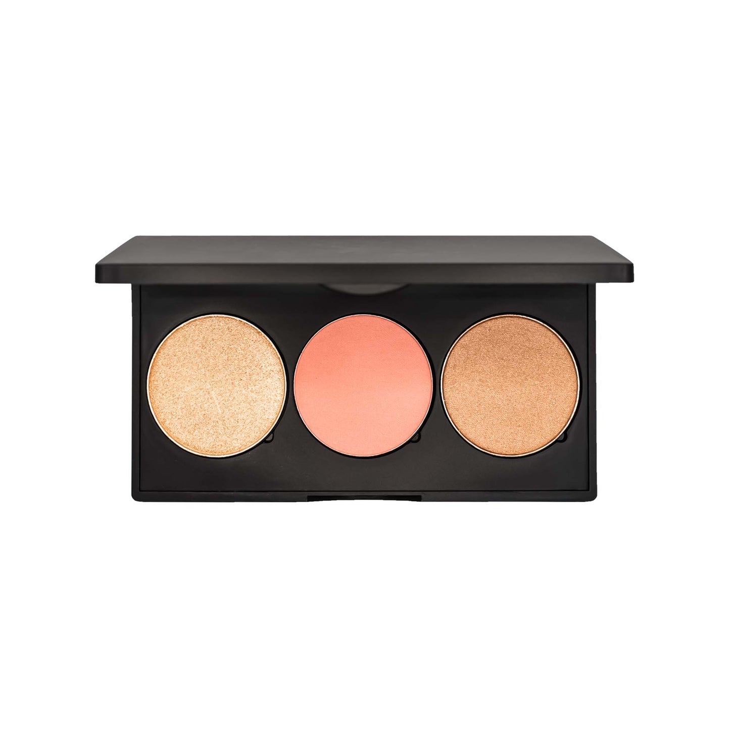 Pro Cheek Palette - Shine
